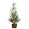 2.5ft. Unlit Alpine Natural Look Artificial Christmas Tree